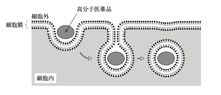 解説画像